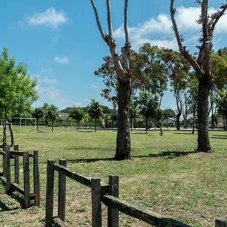 Alloggio Per Uso Turistico Villa Lido dei Pini Kültér fotó