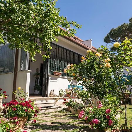 Alloggio Per Uso Turistico Villa Lido dei Pini Kültér fotó